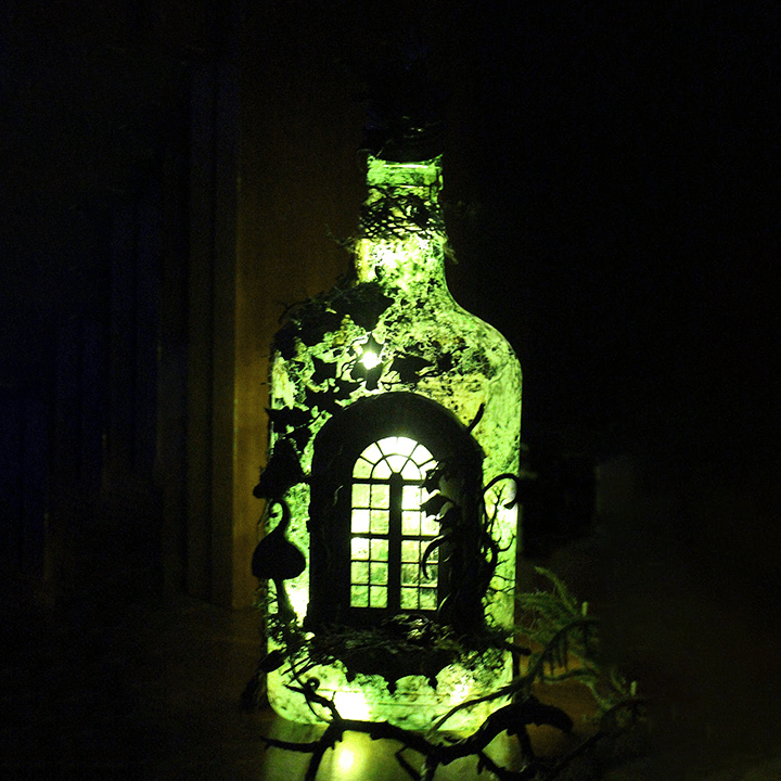 Sikunuo | Altered Art Bottle - Mystical forest stories