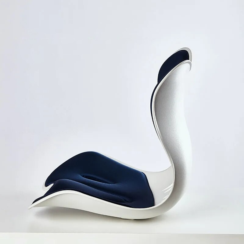 Sikunuo | Back Support Memory Foam Seat Cushion