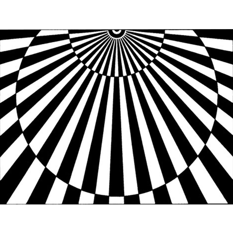 Sikunuo | Novelty Living Room Rug in Black and White 3D Half Circle Stripe Print Rug Polyester Pet Friendly Washable Area Rug