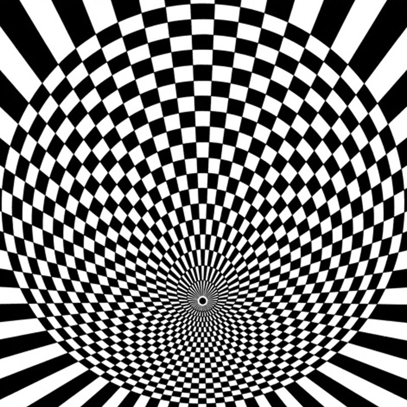 Sikunuo | Black-and-white bedroom rug novelty 3D small check pattern carpet polyester non-slip pet-friendly rug