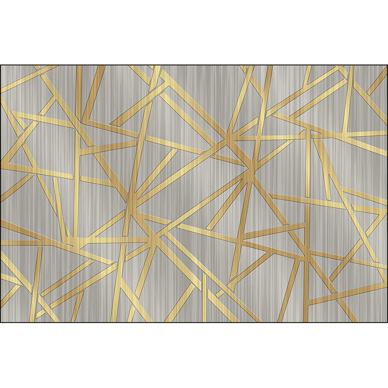 Sikunuo | Modern Novelty Carpet in Gray Geometric Lines Pattern Carpet Polyester Washable Non-slip Area Rug for Home Decoration