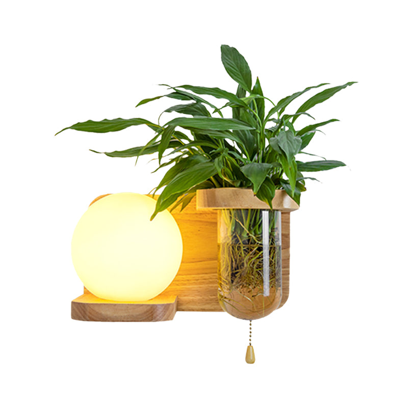 Sikunuo | Wood Globe/Cylinder Wall Sconce Nordic Cream Glass 1 Light Bedroom Wall Lamp with Plant Pot and Pull Chain