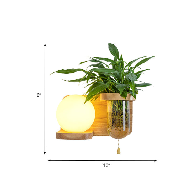 Sikunuo | Wood Globe/Cylinder Wall Sconce Nordic Cream Glass 1 Light Bedroom Wall Lamp with Plant Pot and Pull Chain