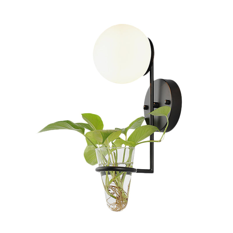 Sikunuo | 1 Bulb Wall Lamp Industrial Global Cream/Smoke Grey Glass Wall Light in Black/Gold with Clear Glass Plant Cup
