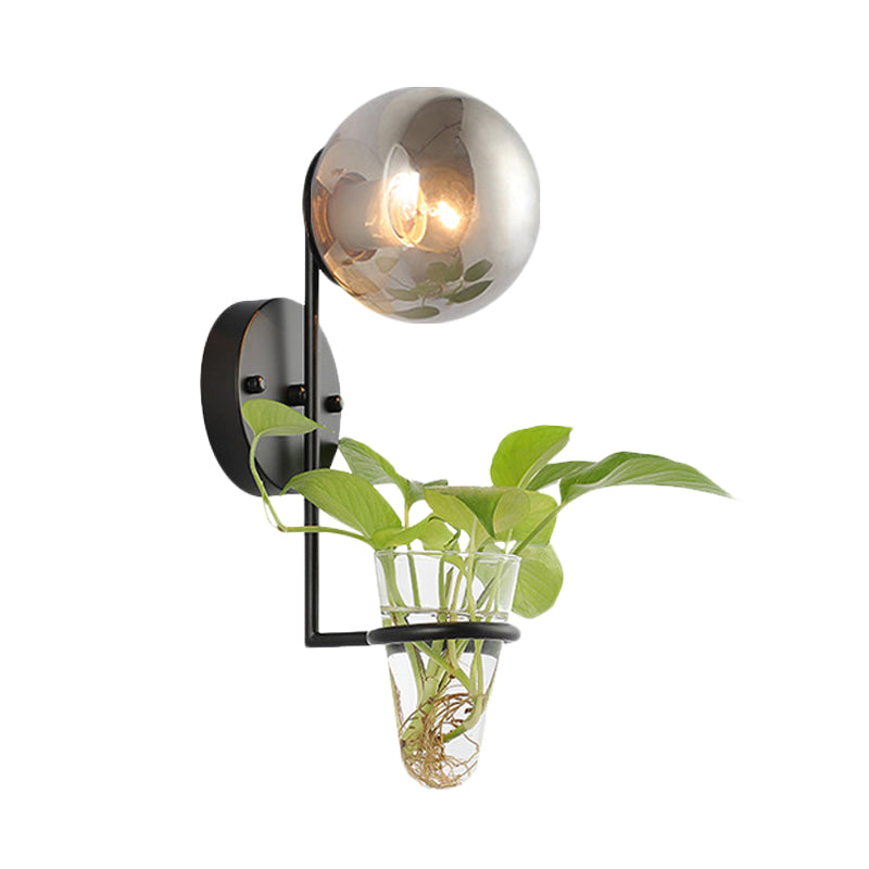 Sikunuo | 1 Bulb Wall Lamp Industrial Global Cream/Smoke Grey Glass Wall Light in Black/Gold with Clear Glass Plant Cup