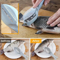 Sikunuo | Fish scale remover with catch lid