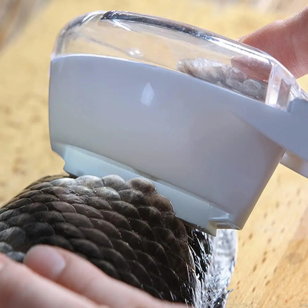 Sikunuo | Fish scale remover with catch lid