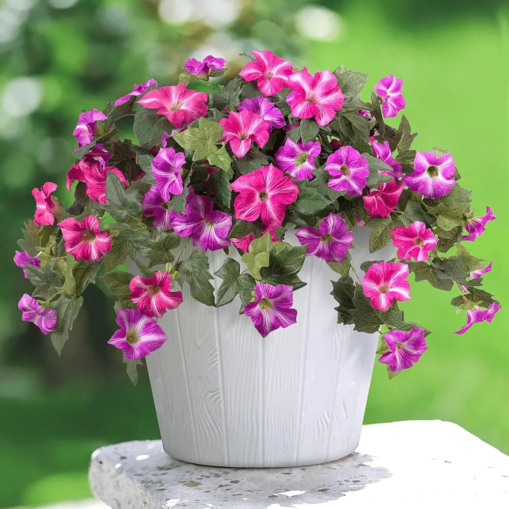 Sikunuo | Artificial Spring Petunias made of Silk – Perfect for Calm Home Accents