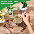 Sikunuo | Mini-seeder – Precision seed tool for small seeds