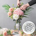 Sikunuo | DIY Spiral Flower Stem Holder – Effortless Flower Arrangements
