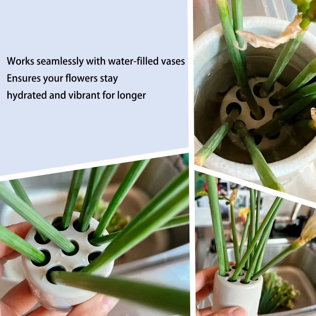 Sikunuo | DIY Spiral Flower Stem Holder – Effortless Flower Arrangements