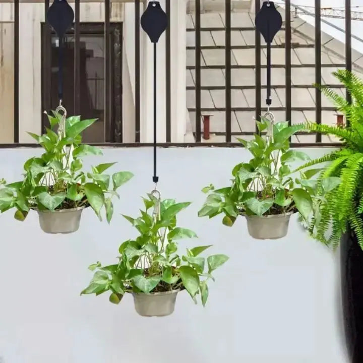 Sikunuo | 2+2 | Simple plant hanging set