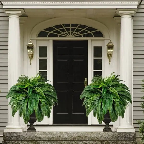 Sikunuo | Life-like UV-resistant artificial Boston fern