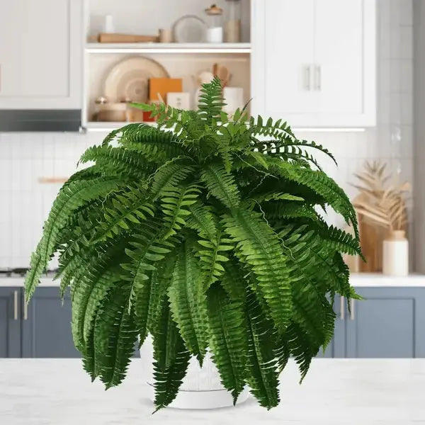 Sikunuo | Life-like UV-resistant artificial Boston fern