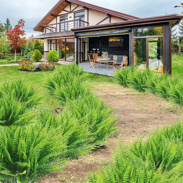 Sikunuo | Life-like UV-resistant artificial Boston fern