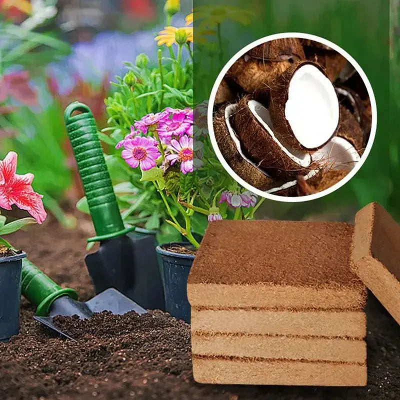 Sikunuo | Premium Organic Coconut Soil Brick – Promote Natural Plant Growth
