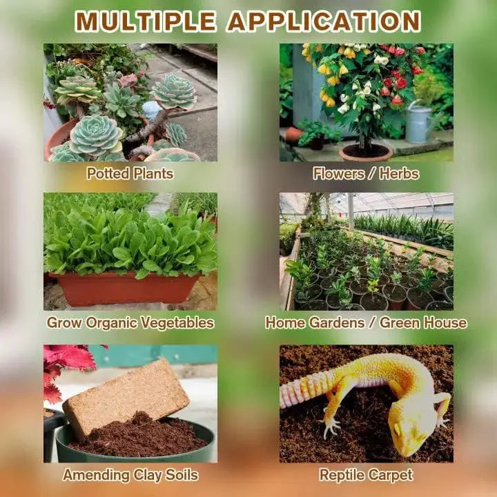 Sikunuo | Premium Organic Coconut Soil Brick – Promote Natural Plant Growth