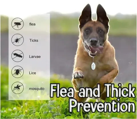 Sikunuo | Ultrasound Tick PRedection – Chemical-Free Defense