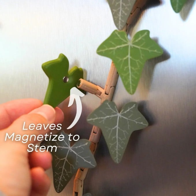 Sikunuo | 3D Printed Ivy Refrigerator Magnet — Realistic Plant Decoration with Strong Adhesion