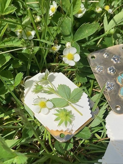 Sikunuo | Mini Flower Press | Compact Botanical Keepsake Maker | Portable Craft Tool
