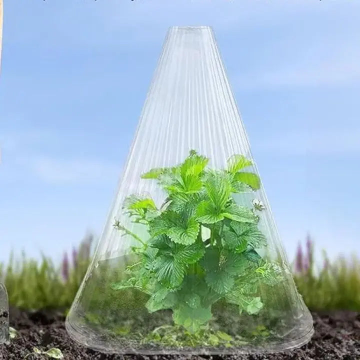 Sikunuo | 20 pieces plant pRedection caps for seedlings, vegetables & flowers