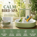Indoor Bird Bath Fountain