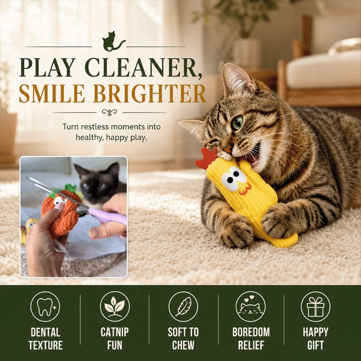 Cactus Catnip Cat Toy Collection