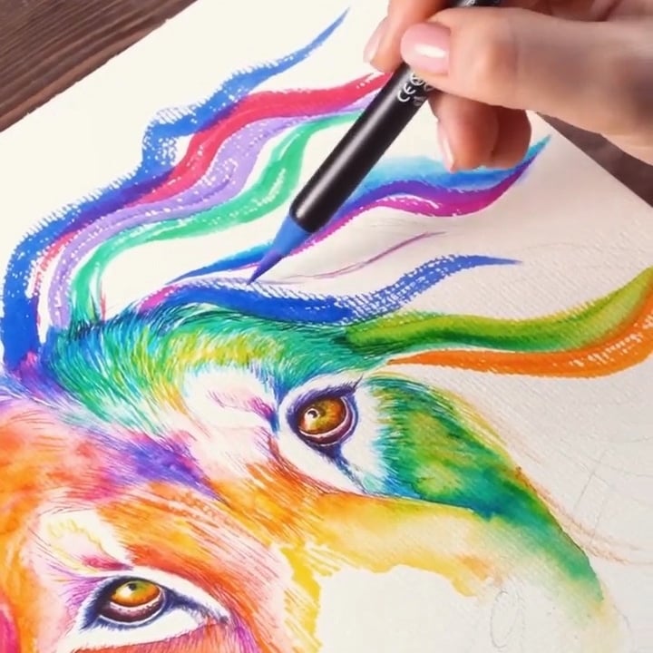 Sikunuo | Elegant Watercolor Brush Set – Creative Painting Made Easy