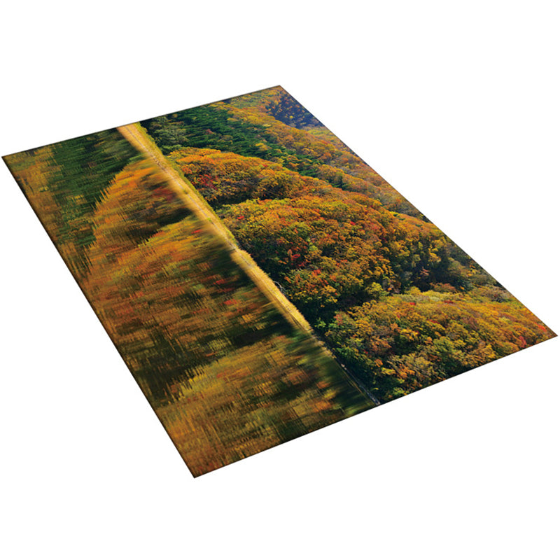 Sikunuo | Multi-Color Modern Rug Polyester Digital Graphic Living Room Rug Non-Slip Back Pet-Friendly Washable Rug for Guest Room