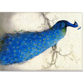 Sikunuo | Modern Children's Room Rug Multi-Color Animal Area Rug Polyester Pet-Friendly Non-Slip Washable Rug