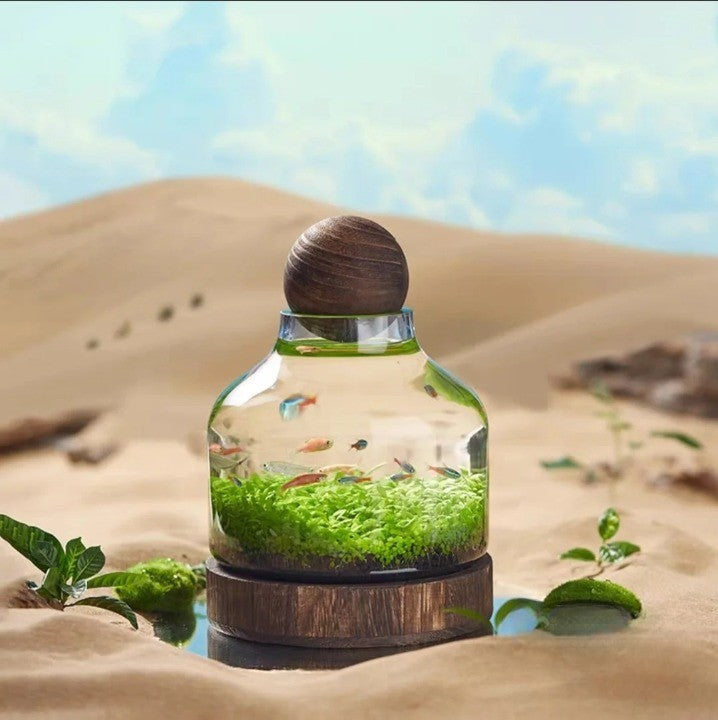 Compact Glass Micro Aquarium with 24 × 17 cm and 36 × 17 cm Options
