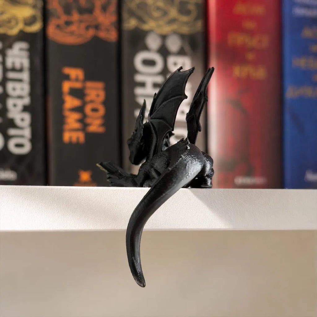 Reading Dragon Bookshelf Decor