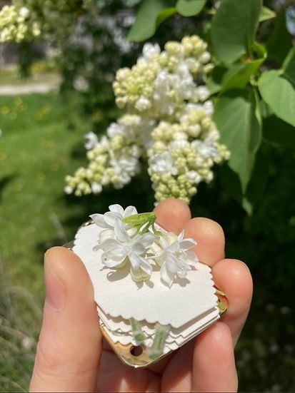 Sikunuo | Mini Flower Press | Compact Botanical Keepsake Maker | Portable Craft Tool