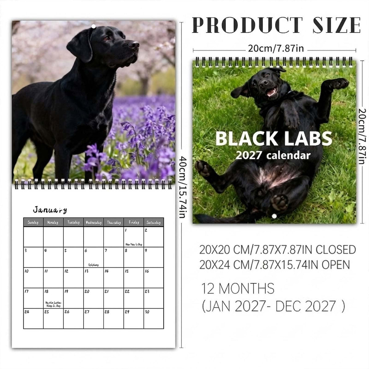 Black Labs 2027 Wall Calendar