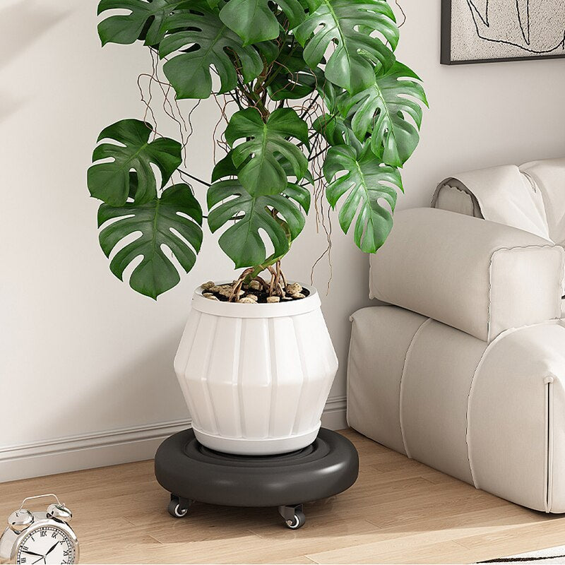 Sikunuo | 360 Rotating Wheeled Rolling Stool