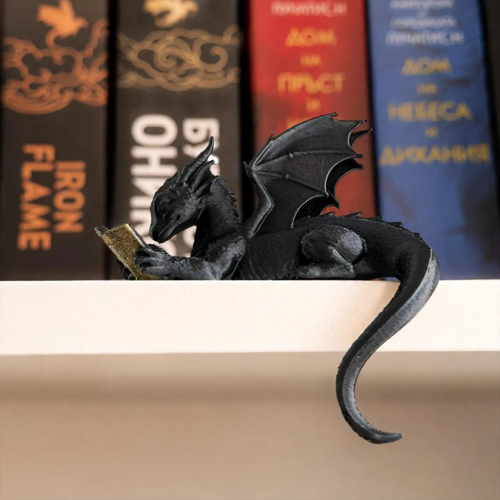 Reading Dragon Bookshelf Decor