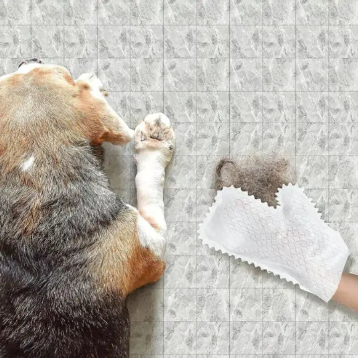 Sikunuo | 5+5 | Versatile household gloves