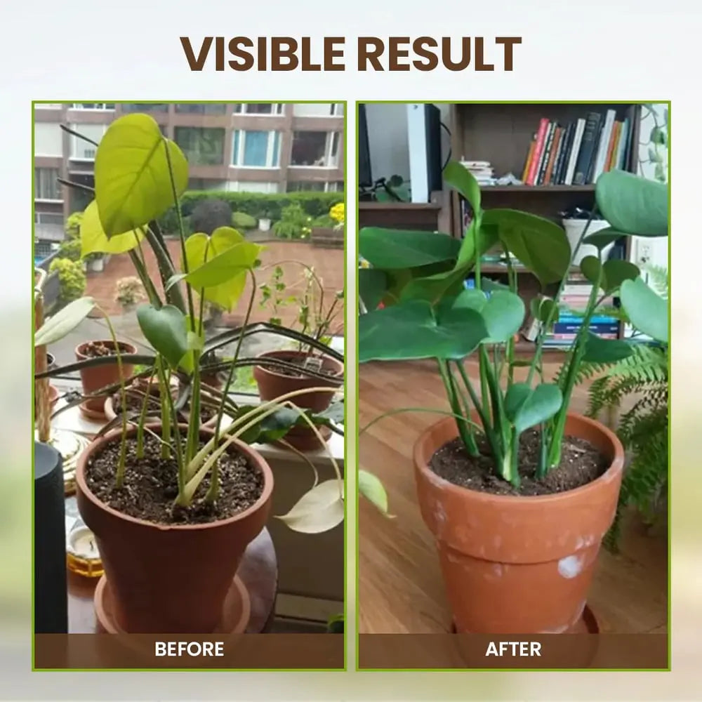 Sikunuo | 60 g Soil Activator with Minerals for Healthy Plants