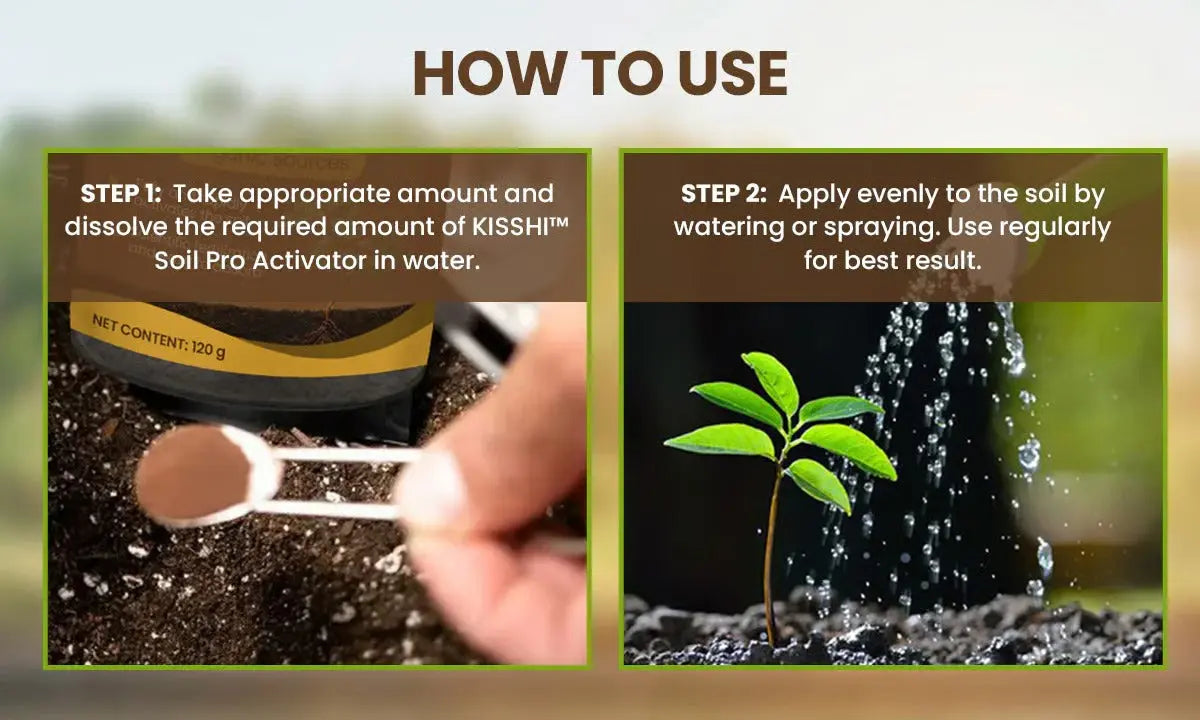Sikunuo | 60 g Soil Activator with Minerals for Healthy Plants