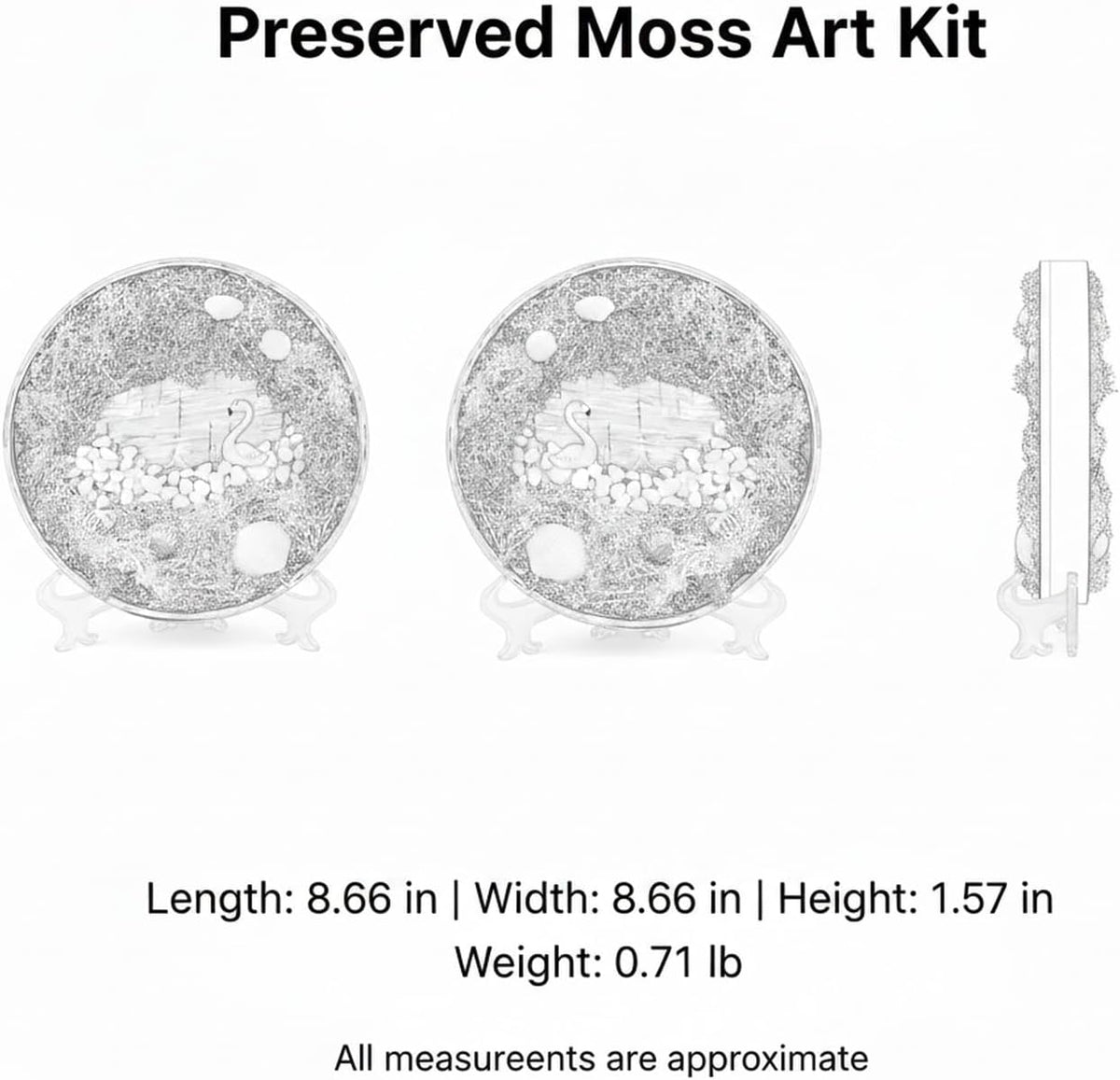 DIY Preserved Moss Art Kit with Bamboo Frame