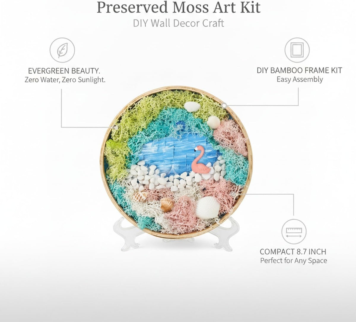 DIY Preserved Moss Art Kit with Bamboo Frame