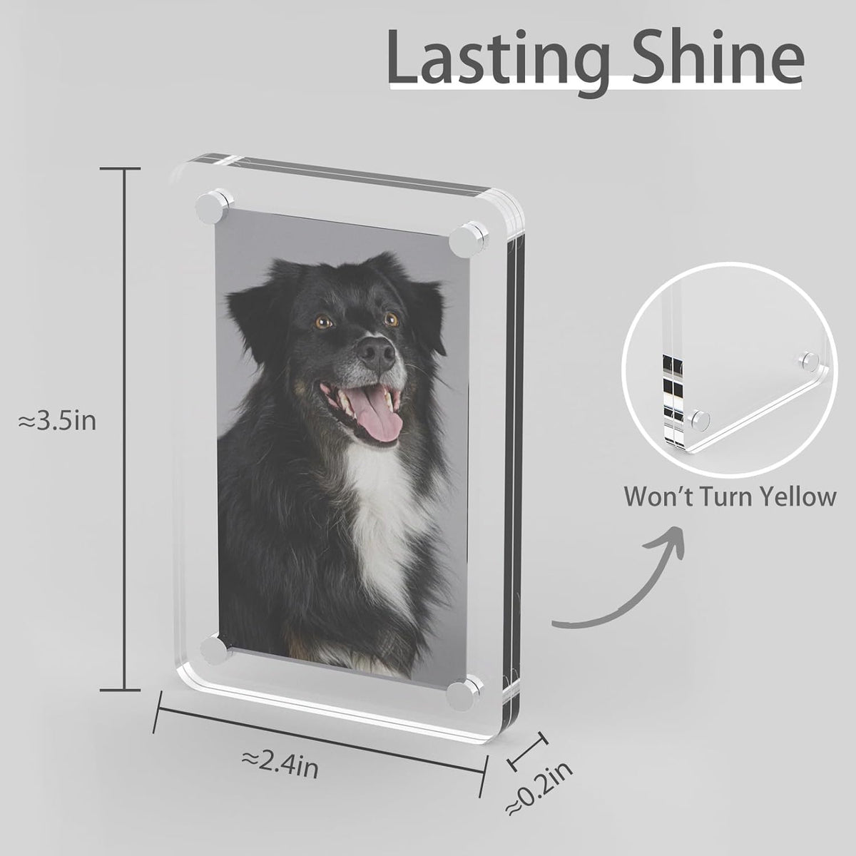 Magnetic Photo Clip 4 Pcs