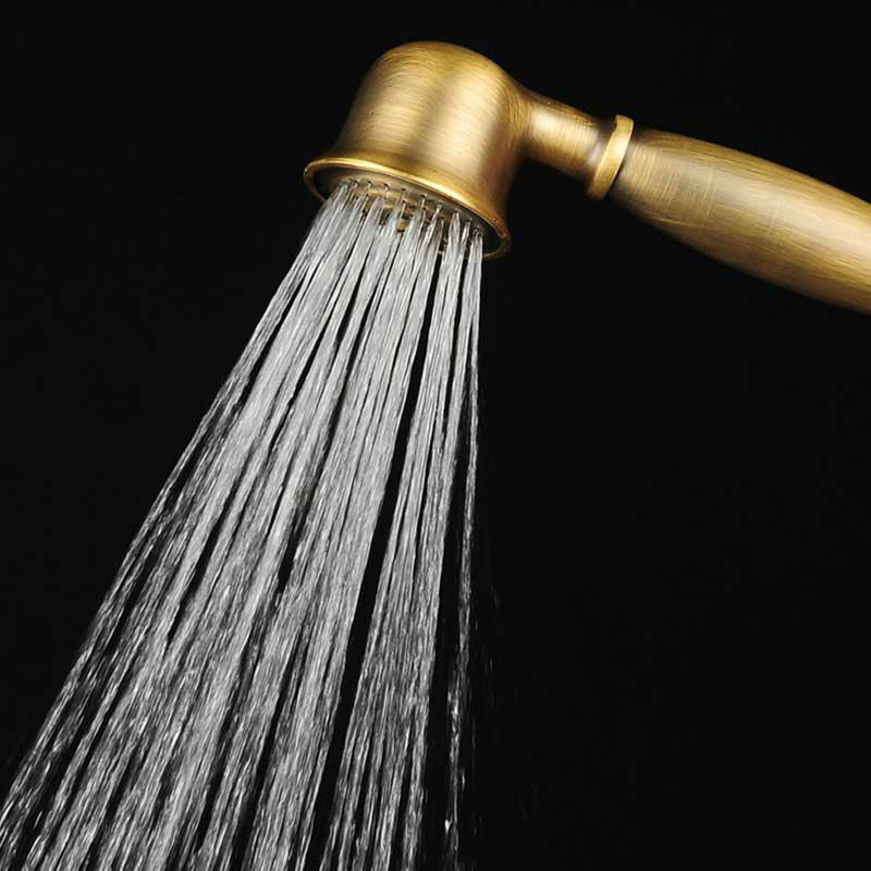 Sikunuo | Traditional Handheld Shower Head with Hose Polished Brass Wall Mounted Shower Head
