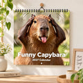 Funny Capybara 2027 Wall Calendar