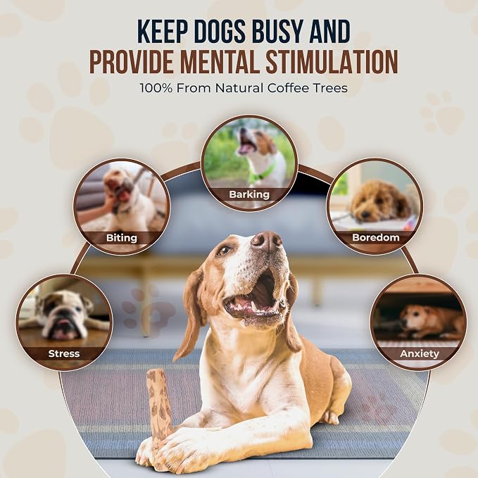 Coffee Wood Dog Chew Sticks - 2 Pack