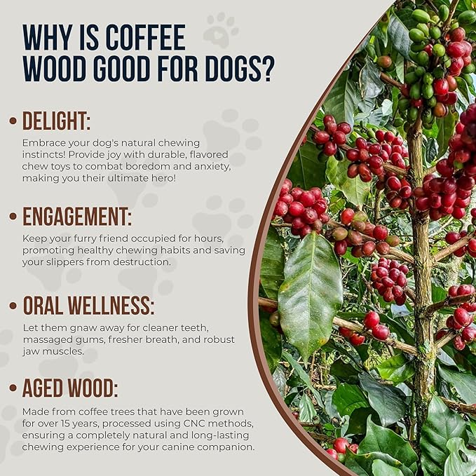 Coffee Wood Dog Chew Sticks - 2 Pack