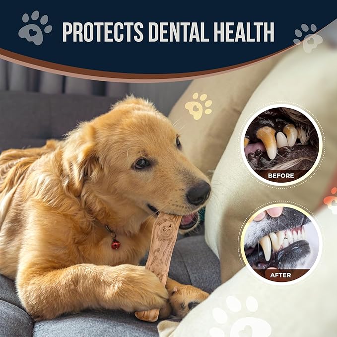 Coffee Wood Dog Chew Sticks - 2 Pack