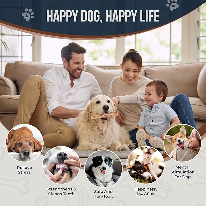 Coffee Wood Dog Chew Sticks - 2 Pack