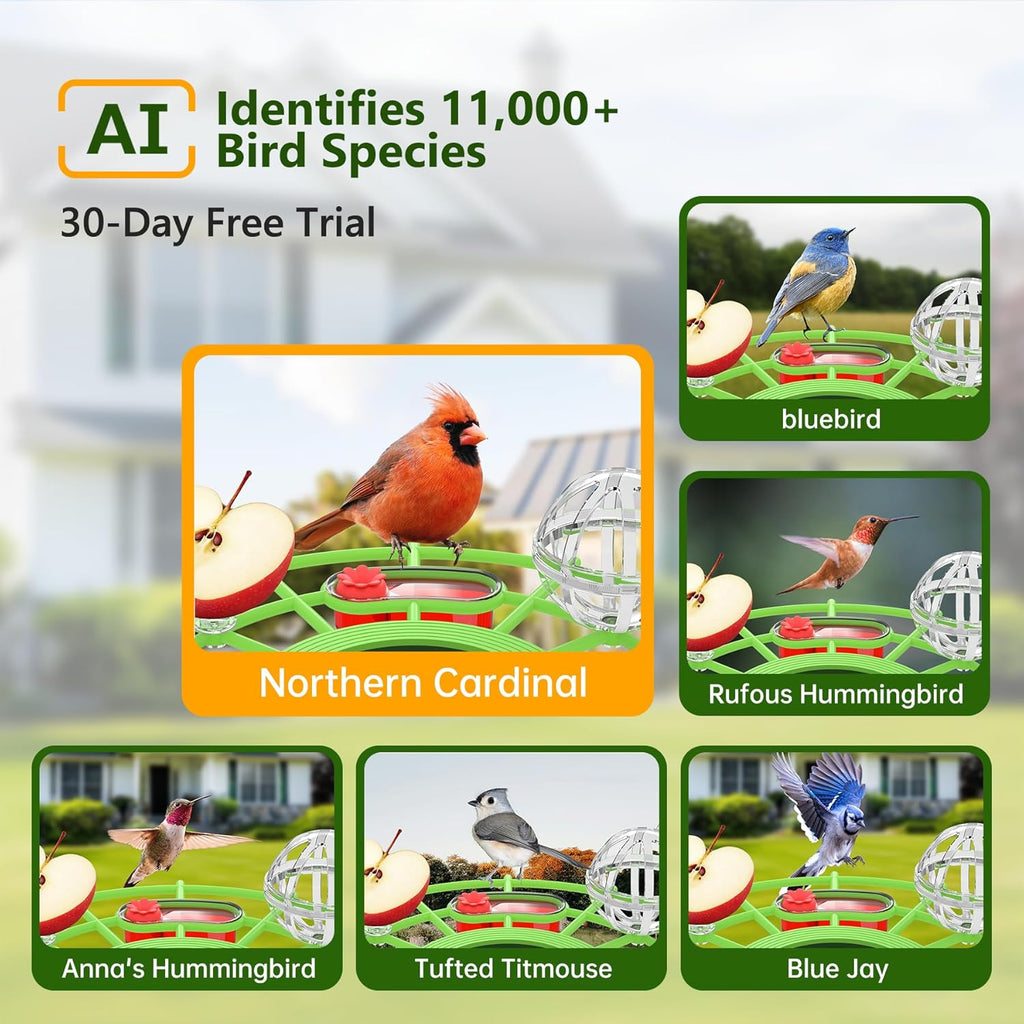 Centvicam Smart Bird Feeder with Camera – 2K HD Live View
