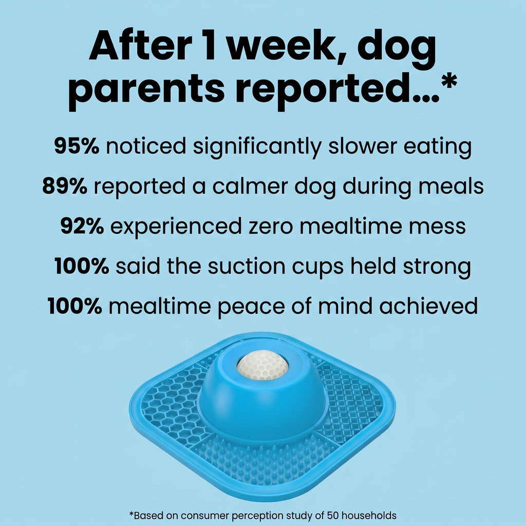 1The Zen Dog Soothing Bowl